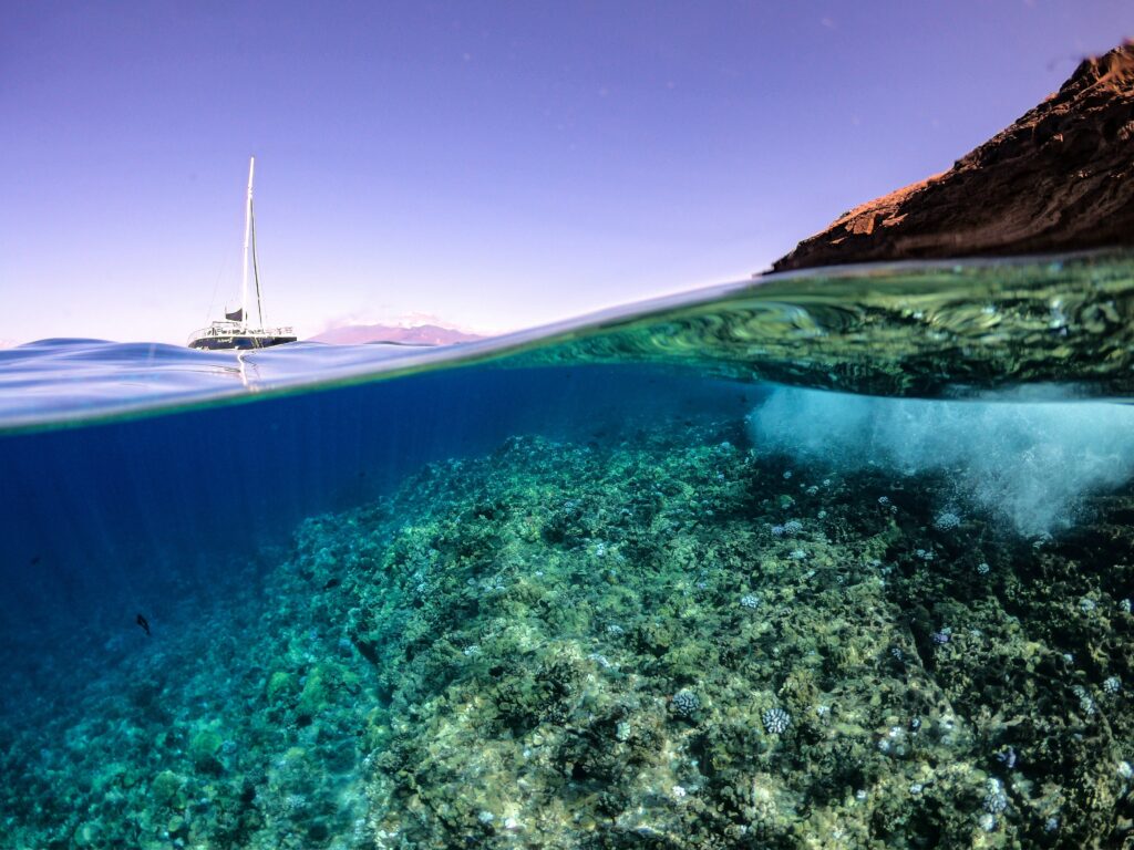 Two Worlds
